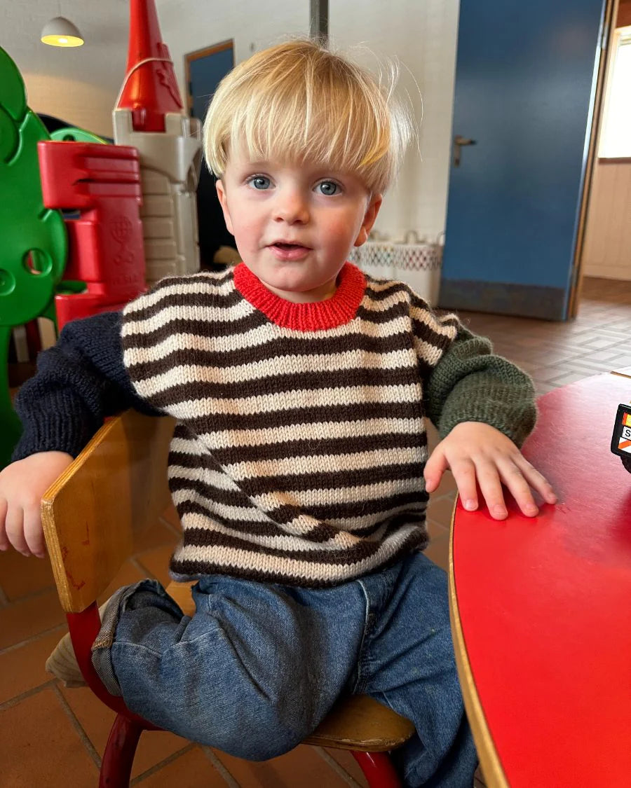 Holger Sweater. Str. 1 år til 14 år.